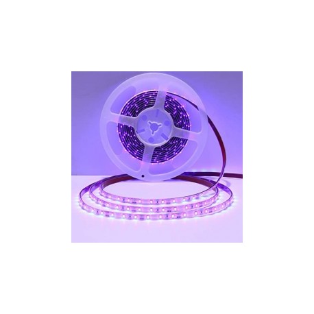 Tira de Led Ultra Violeta  5mm