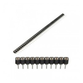 Header Troquelado 40 pins