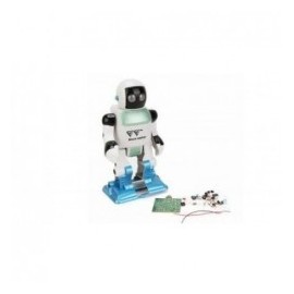 Robot Walker